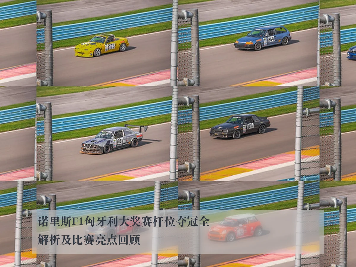诺里斯F1匈牙利大奖赛杆位夺冠全解析及比赛亮点回顾
